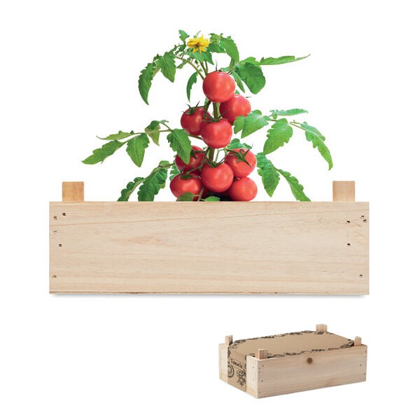 TOMATO Kit di semi di pomodor - GiftRetail MO6498
