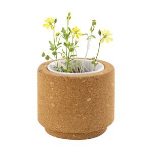 Claps 79128 - Sottopentola in Sughero con Semi di Fiori Selvatici