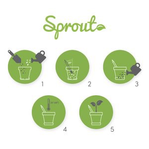 Claps 96144UN - Eco-Friendly Pencil with Sunflower Seeds