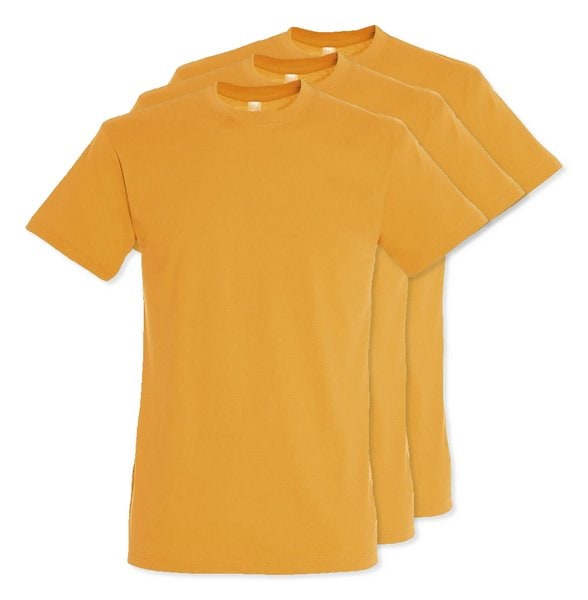 Pack of 30 SOLS 11380 - REGENT Unisex Round Collar T Shirt