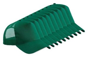 Bottle Green / Bottle Green